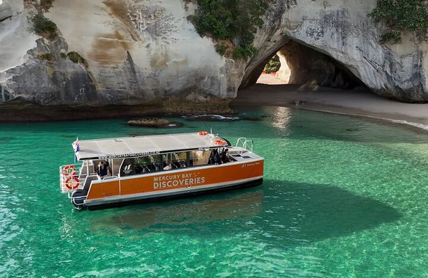 Cathedral Cove Coast and Cave Activity