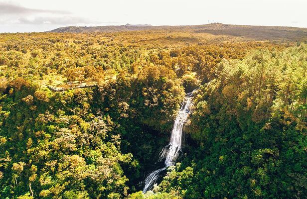 Authentic Exclusive Chamarel Tour visit to 4 Parks and Lunch