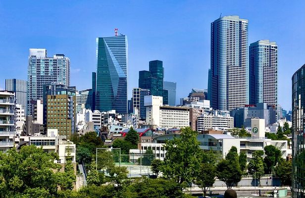 Tokyo Customizable Private One Day Walking Tour Hotel Pickup