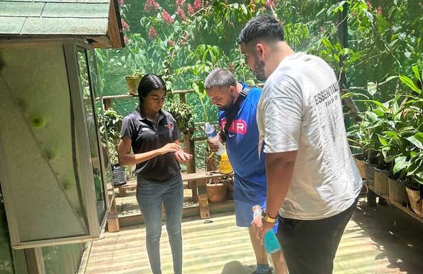 Custom Private Tour of Roatan Activities for the Whole Family