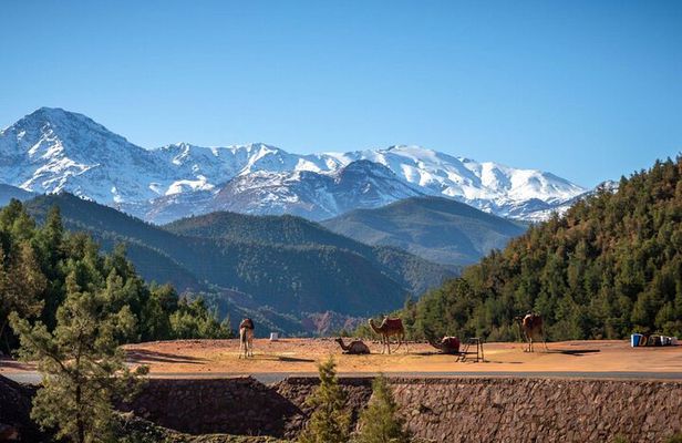  Full Day Trip in Atlas Mountains on Ourika Valley