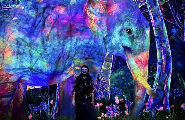 Tokyo: teamLab Planets & Toyosu Fish Market Guided Tour