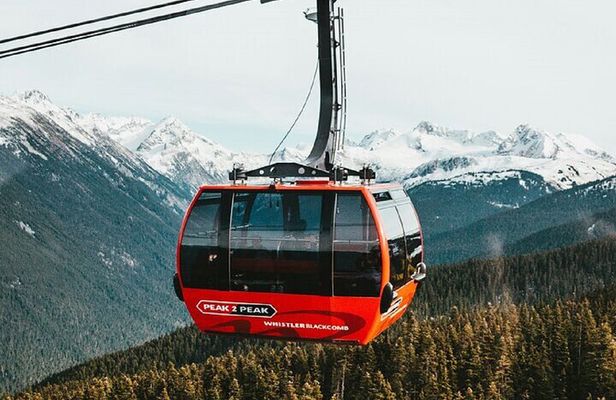 Whistler Wonders, Gondola Thrills and Shannon Falls 1-Day Tour
