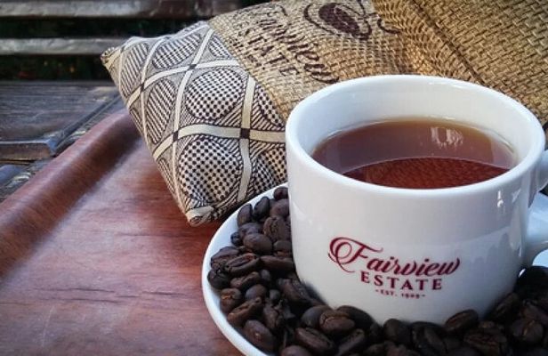 Private Tour to Fairview Coffee Farm Tour with Coffee Testing