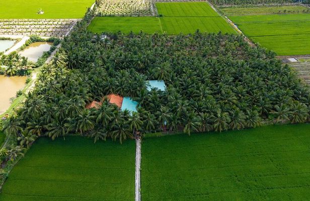 From HCMC–Mekong Delta Eco Tour: Non-Touristy & Small Group