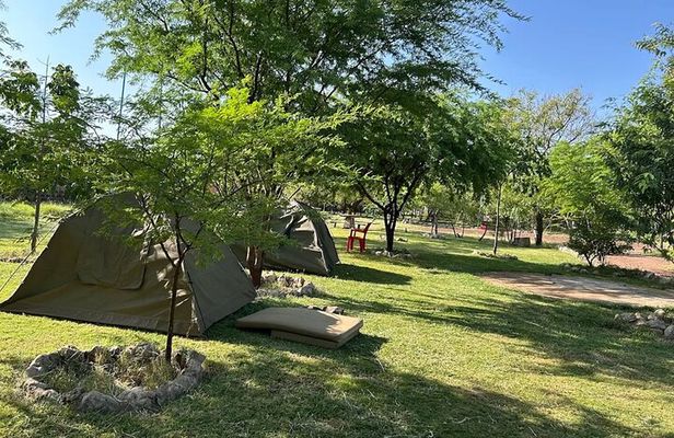 The Top Rated 6-Day Serengeti Budget Camping Safari in Tanzania