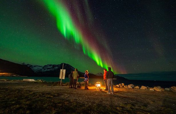 Northern Lights Chase with Sámi & local storytelling