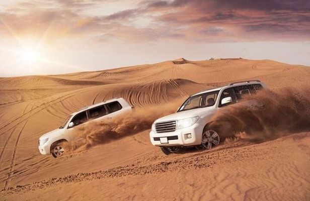 Doha Desert Safari Camel Ride and Sand Boarding