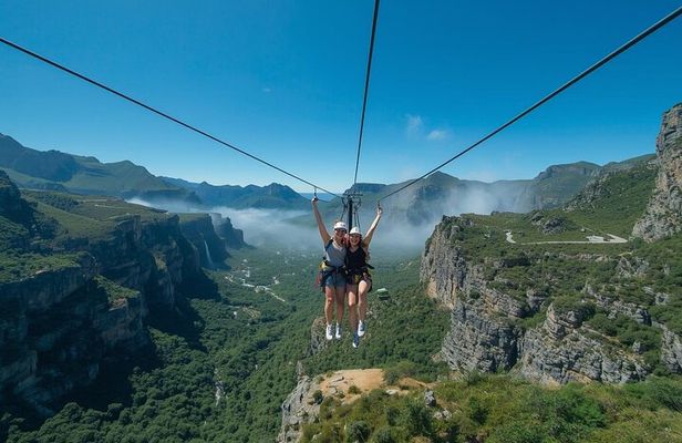 Cape Canopy Ziplining and Cheetah Outreach Tour