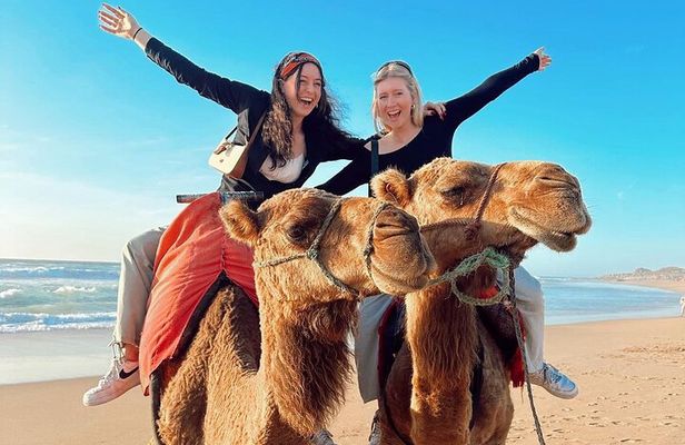 Tangier Private Full-Day Tour Local Guide Camel Ride Port Pickup