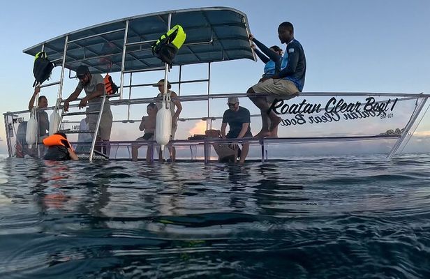 Roatan Clear Boat & Snorkeling Tour with Island Visits