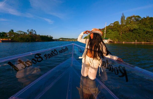 Roatan Clear Boat Tour