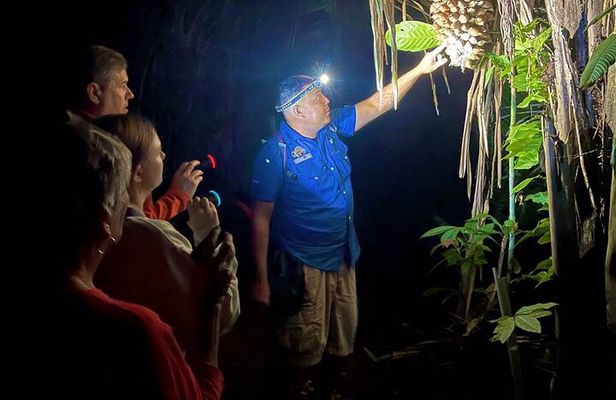 Night Hike Cockscomb Basin Wildlife Sanctuary 