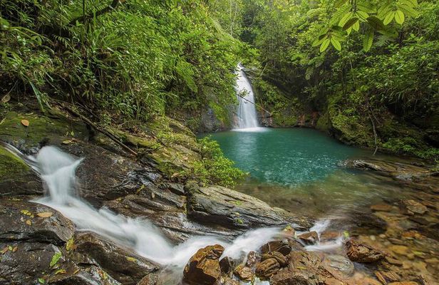 Cockscomb Wildlife Sanctuary 