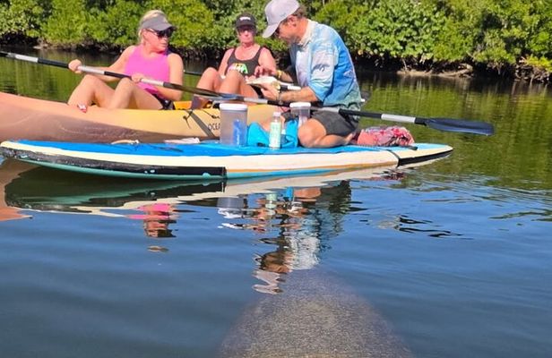 Lovers Key Guided Eco Tour