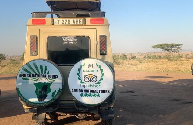 Discover The Top 1-Day Trip to Ngorongoro Crater in Tanzania