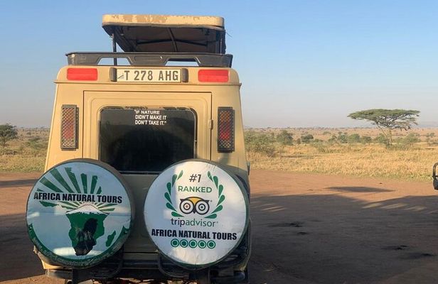 The Most Affordable 2-Day Tanzania Safari: Top safari in Tanzania