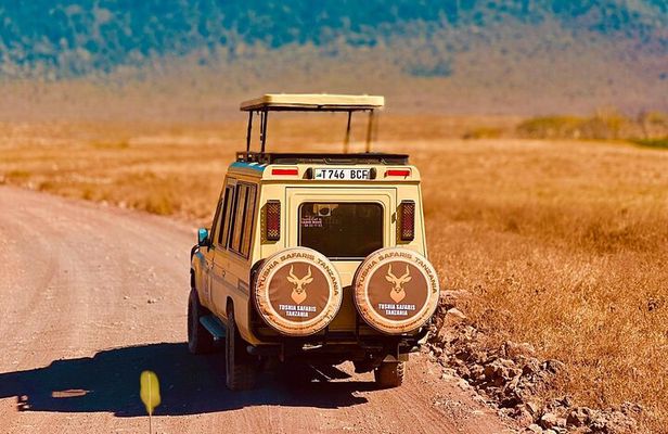 Safari Magic & Local Vibes