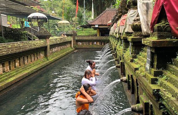 Bali Private Car Charter with English Speaking Driver