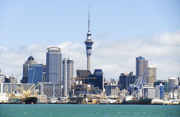 Guided Auckland Highlights Half Day City Tour