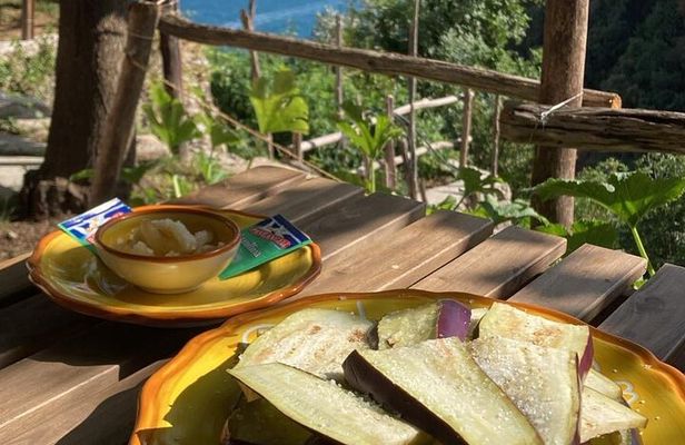 Tasting on the Path of the Lemons with Tour in the Lemon grove