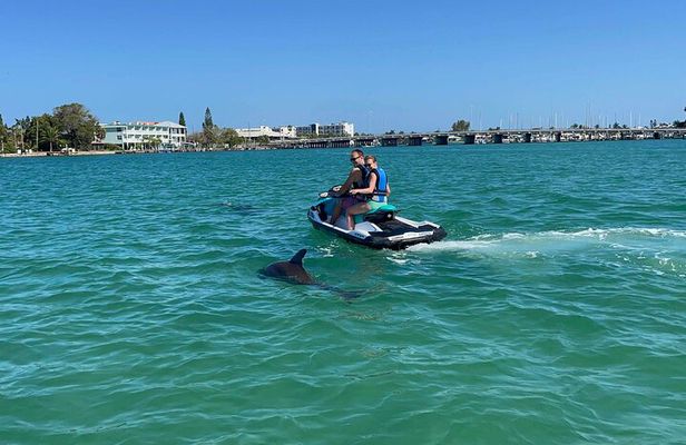 St. Pete 2-Hour Guided Jet Ski Adventure | Dolphins, Islands 