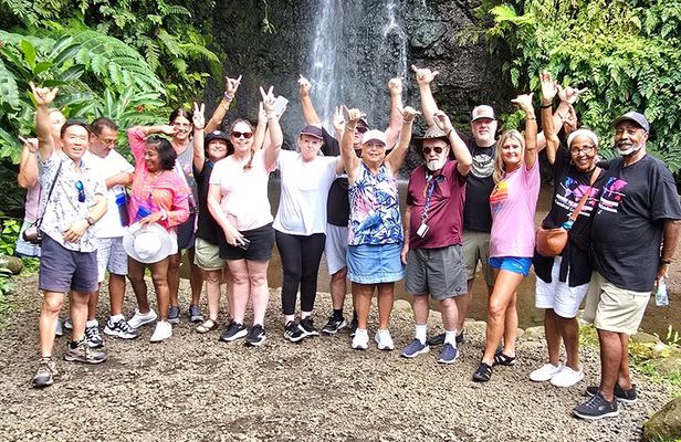 Small Group Shared Half Day Tahiti Tour Waterfalls&Scenic Coast