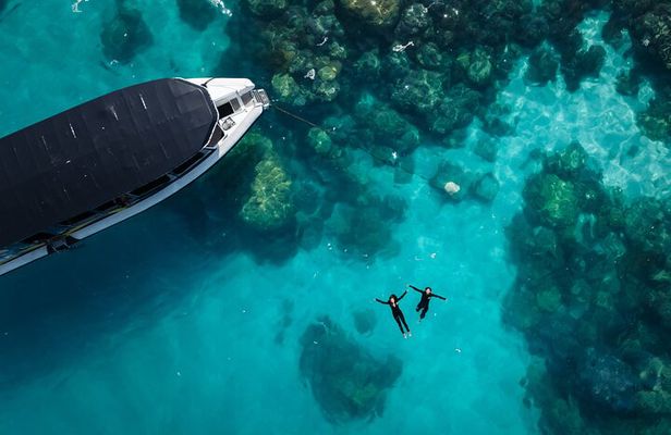 Great Barrier Reef Small Group Snorkelling Adventure