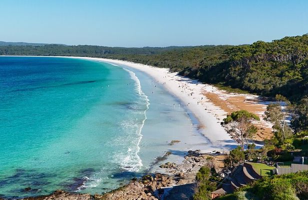 From Sydney: Jervis Bay, Kiama & South Coast Day Tour