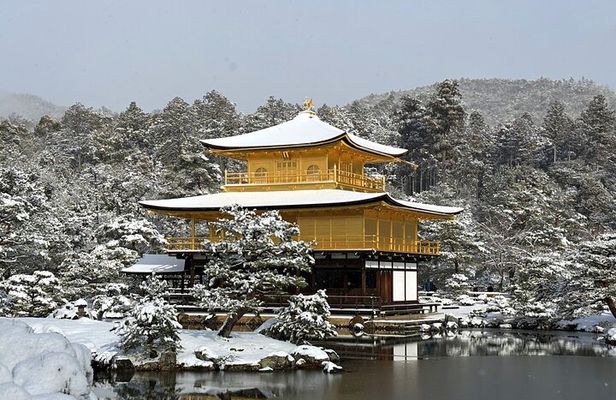 Kyoto Kinkaku-ji and Authentic Tea Ceremony Private Experience