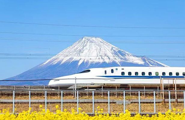Mt. Fuji and Hakone Day Tour with Bullet Train Return