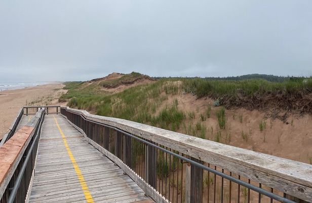 The very best of the North and South shore of PEI - Private Tour
