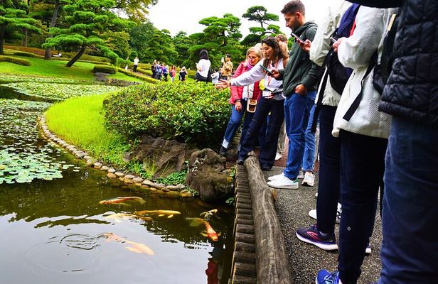 Tokyo Castle, Imperial Palace, Shogun & Garden Walking Tour