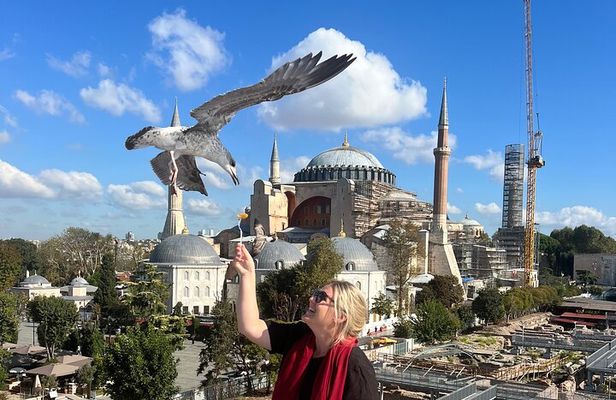  ISTANBUL WONDERS : Highlights FullDay Private Guided City Tour 