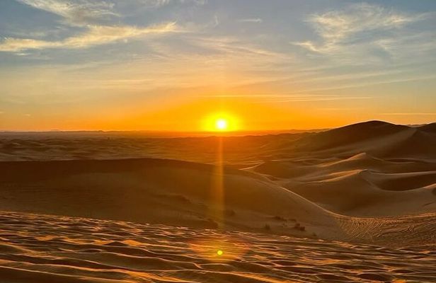 VIP Morning Desert Safari Dune Bashing Camel Ride Sandboarding