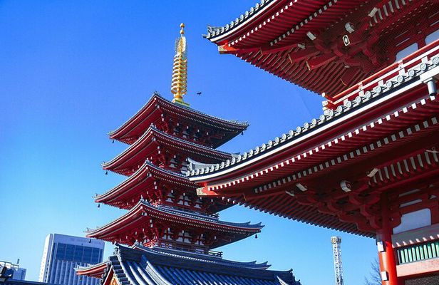 Tokyo: Big Highlights - Asakusa, Shibuya & Meiji Shrine tour