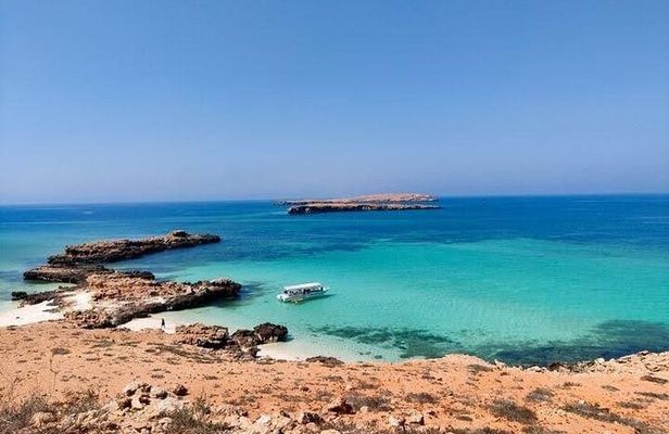 Daymaniyat Islands Snorkeling Adventure Half Day