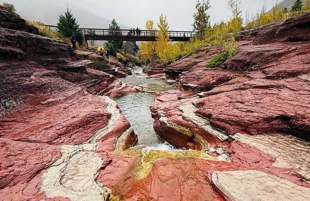 Explore Waterton National Park from Calgary Day Guided Tour