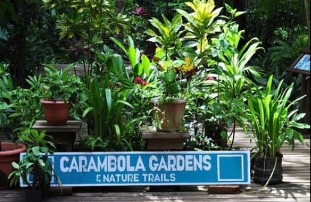 Roatan Private Tour , Culture and Views Experience