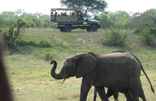 4 Day Kruger National Park Shared Wildlife Adventure