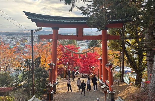 Spectacular Mt. Fuji and Lake Cruise, Noodles Making Experience