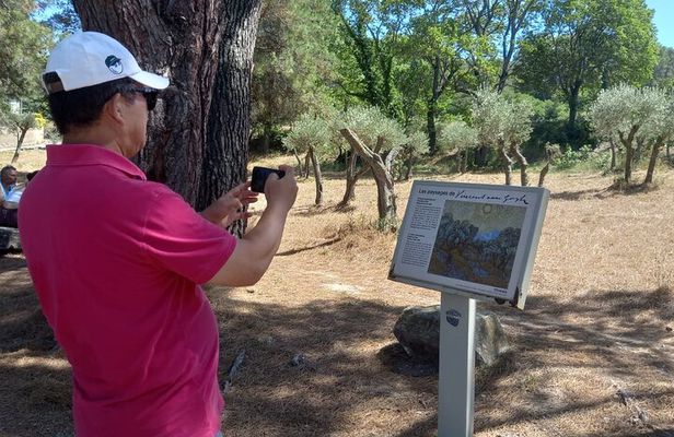 Arles, Les Baux and Saint Remy de Provence from Marseille