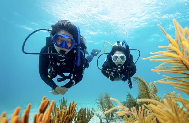 Anguilla Based:Complete your PADI Open Water Dives 3 & 4 with us