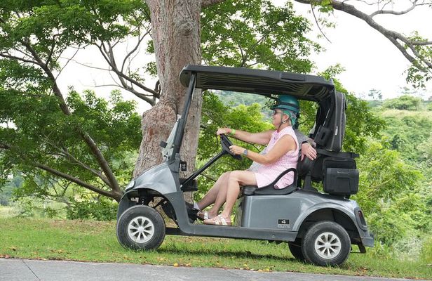 Roatán Zipline Sloths Golfcart VIP Beach Adventure with Lunch