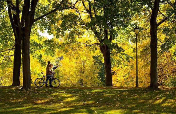 Guided Bike Tour Highlights of Oslo