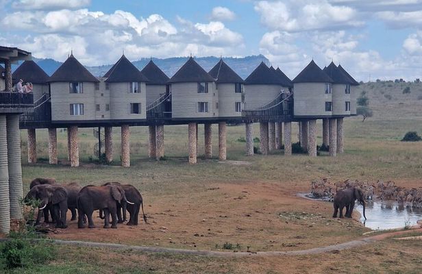  Taita Hills Wildlife Sanctuary Multi day Tour Experience