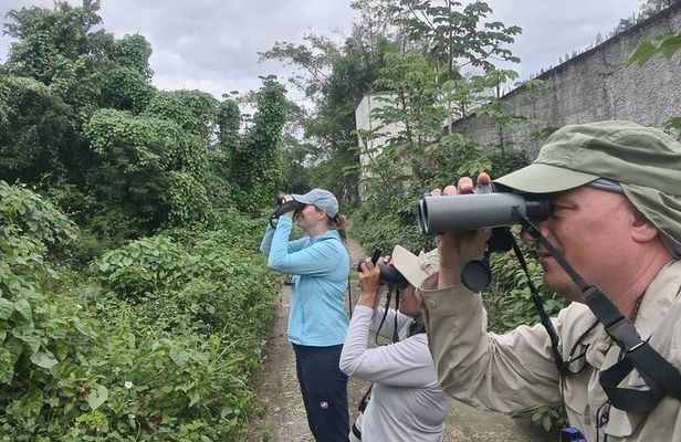 Cozumel Birding Tours - Private & Small Group Specialist