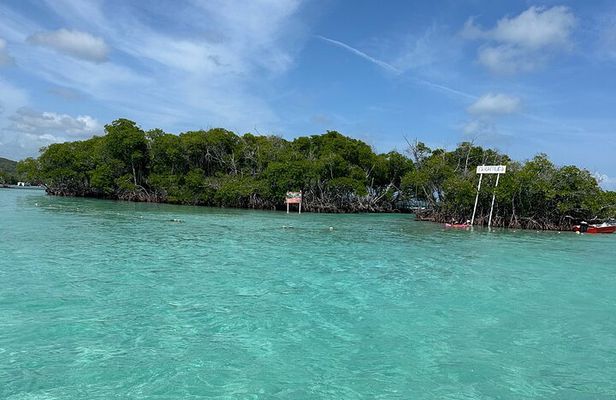 Ponce, Yauco, La Parguera & BioBay Full Day Experience 