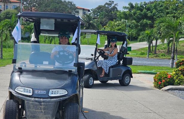 Roatan Sloth Sanctuary, Golf Cart Adventure, Beach Lunch & Drinks