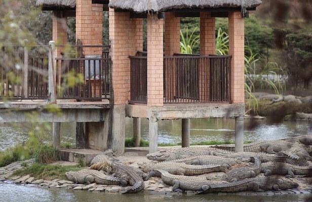 Madagascar Day Tour Lemurs Park and Croc Farm from Antananarivo